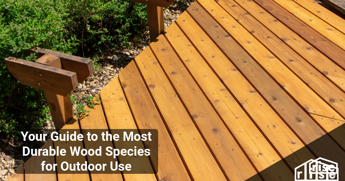 Your Guide to the Most Durable Wood Species for Outdoor Use